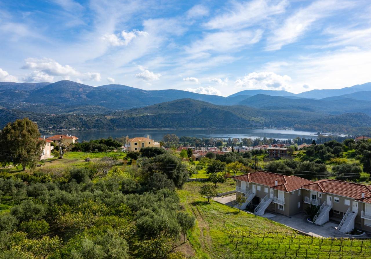 Apaggio Di Argostoli Apartments - Private Parking & Sea View Buitenkant foto